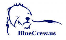 Blue Crew - Police Training