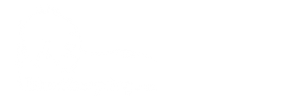 Layout Image