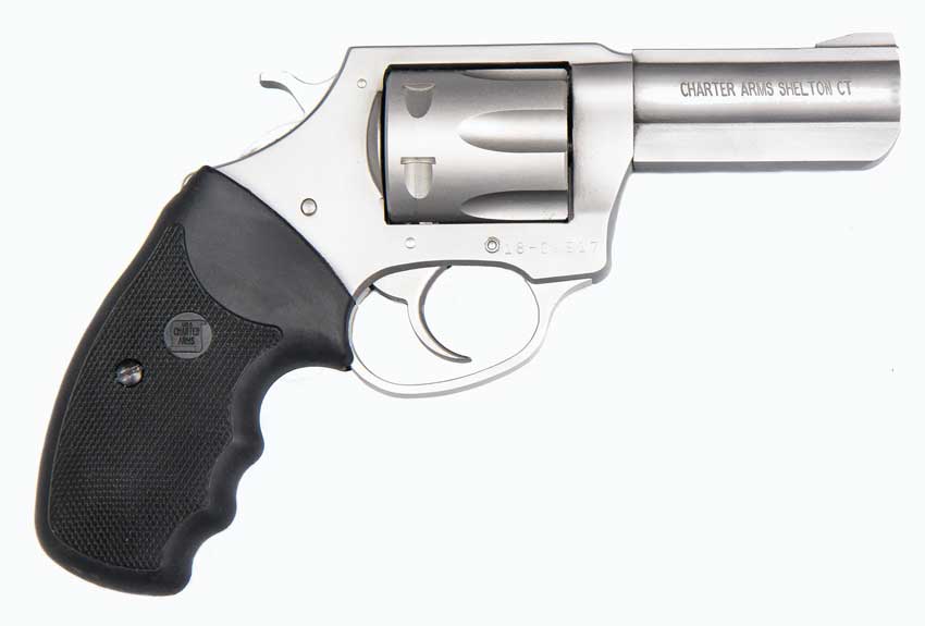 Charter Arms Pitbull in 380 ACP