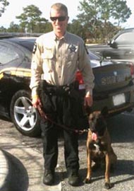 K9 Overdose K9 Overdose