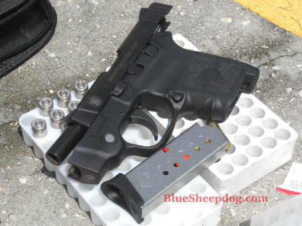 smith and wesson Bodyguard 380 for sale