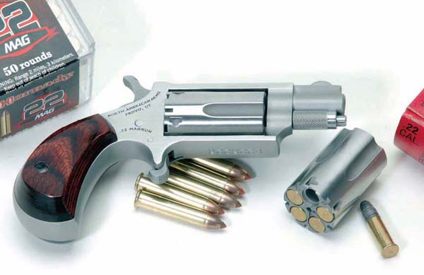 NAA 22 revolver