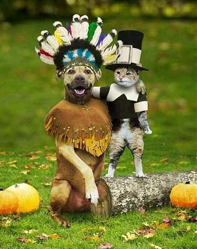 I guess even cats and dogs can get along for Thanksgiving