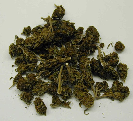 Loose marijuana (photo by DEA).