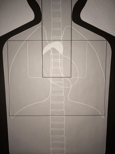 The white rectangular box in the upper chest is the targeting area, with the black box within it as the ideal shot placement for the heart.