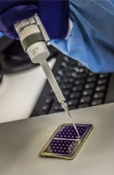 DNA identification is the most powerful evidence for or against a suspect.